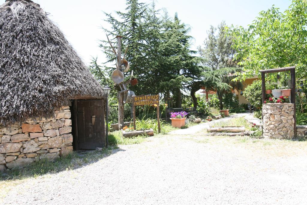 Agriturismo Ticci Seulo Exterior photo