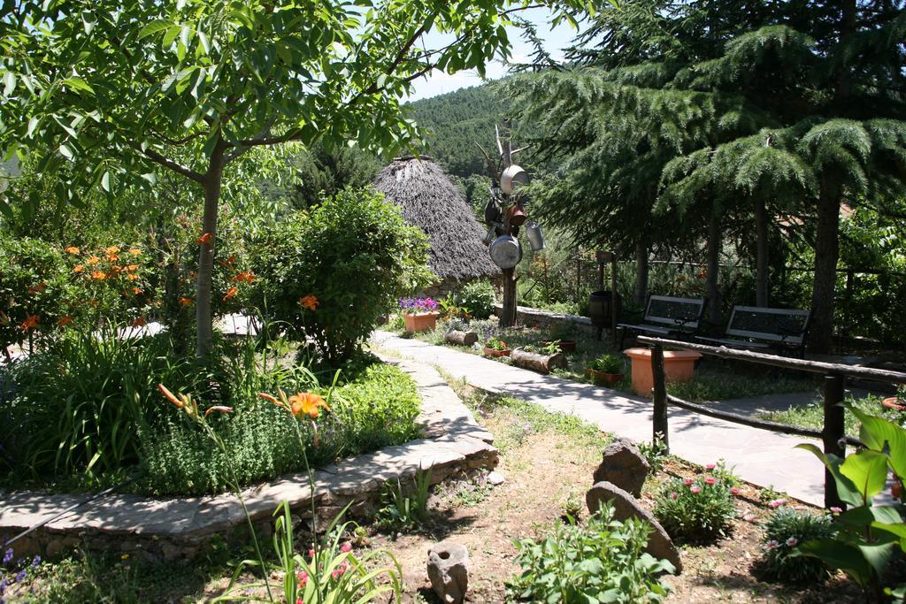 Agriturismo Ticci Seulo Exterior photo