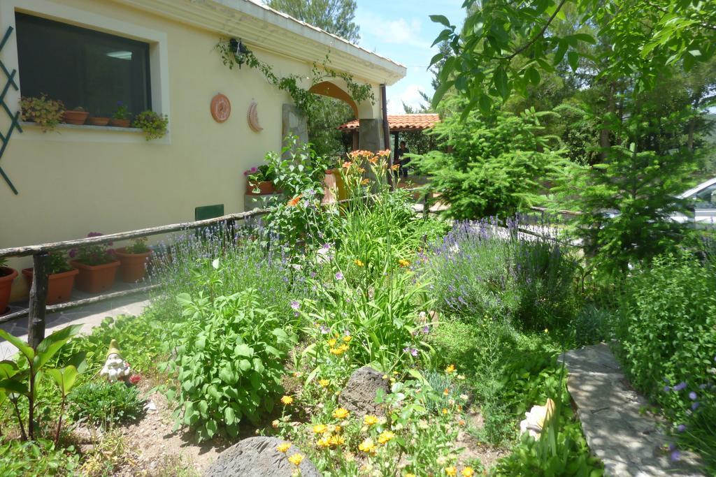 Agriturismo Ticci Seulo Exterior photo